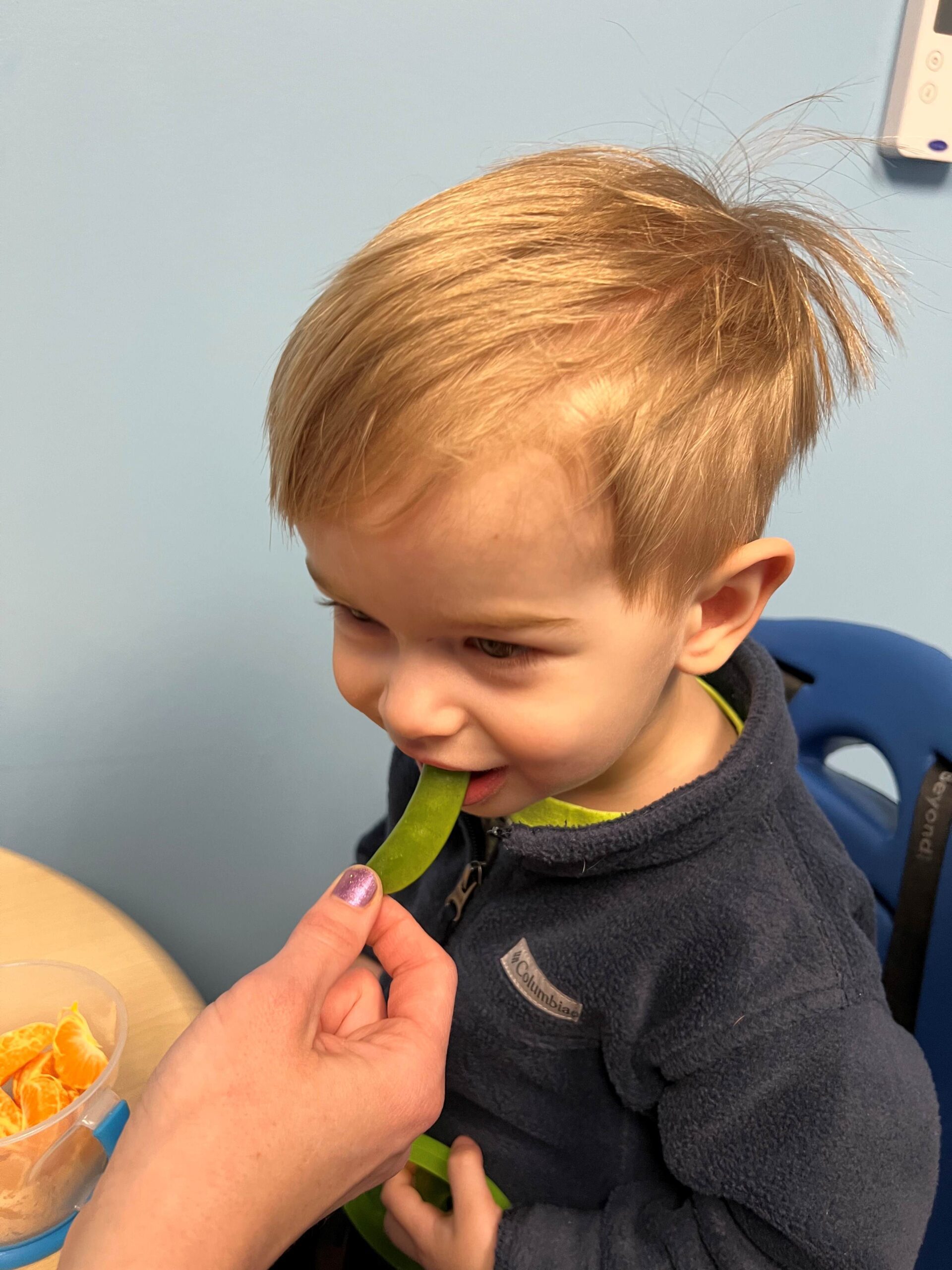 starting solids feeding therapy 