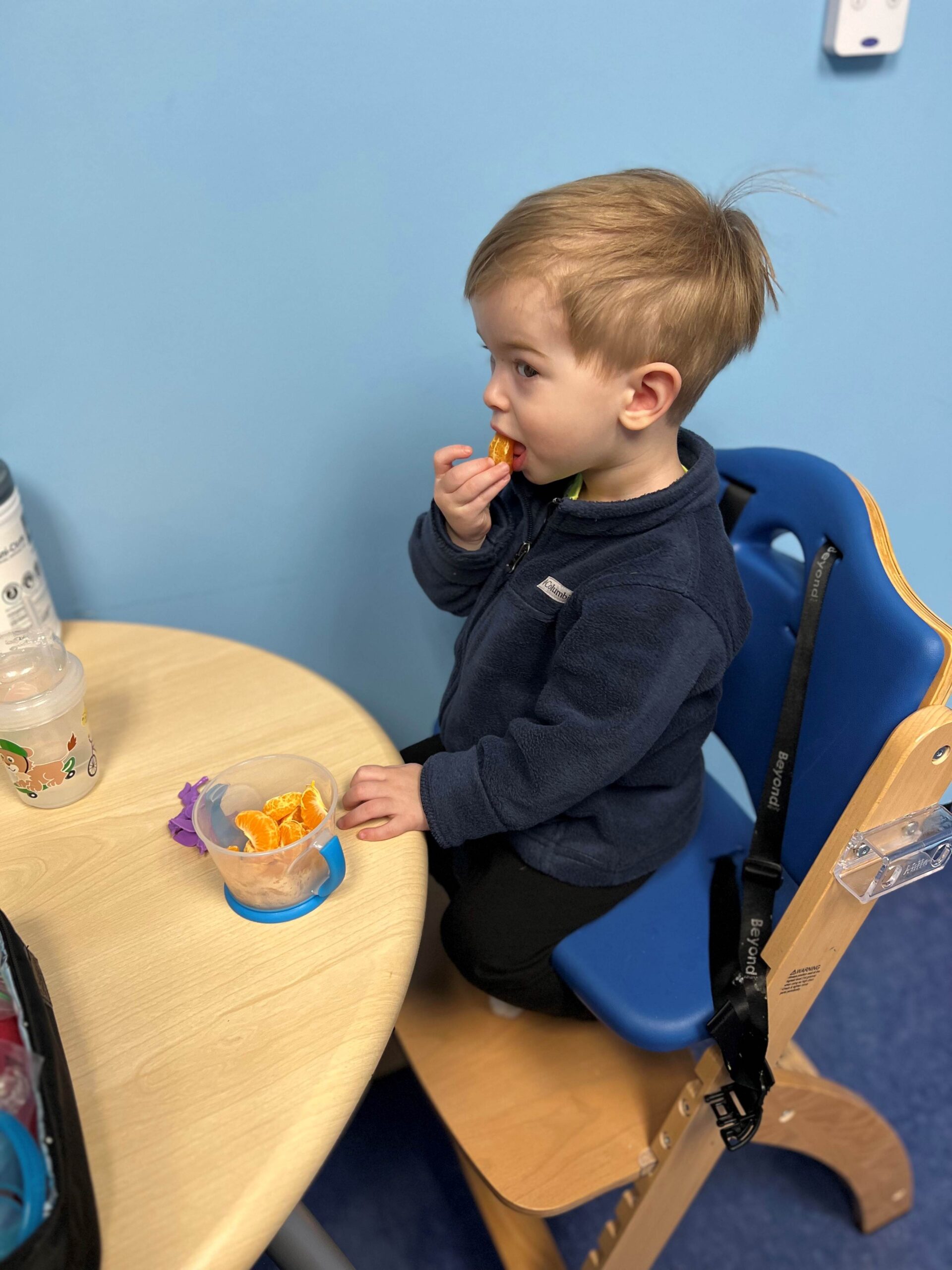 feeding therapy picky eating